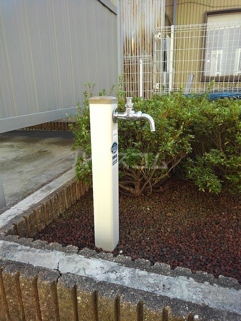 3/20 その他画像