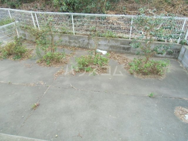 17/28 その他画像