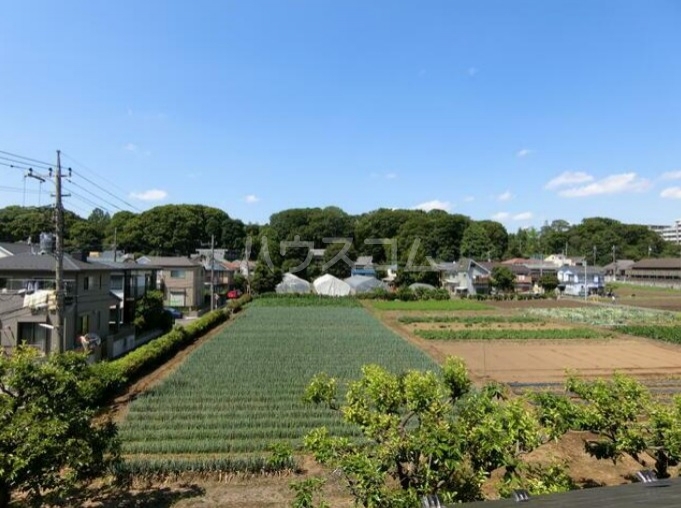 11/23 その他画像