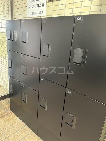11/15 その他画像