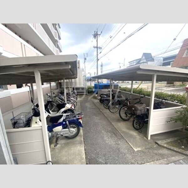 5/11 その他画像