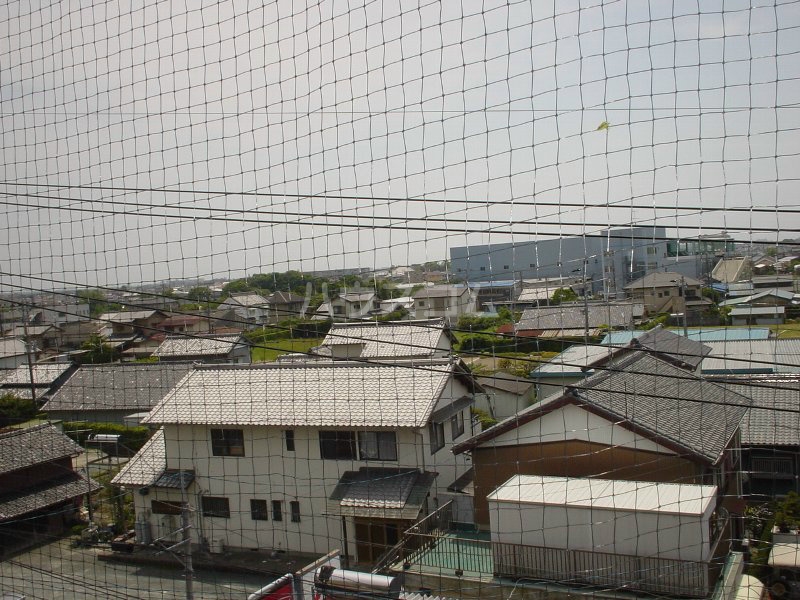 13/19 その他画像