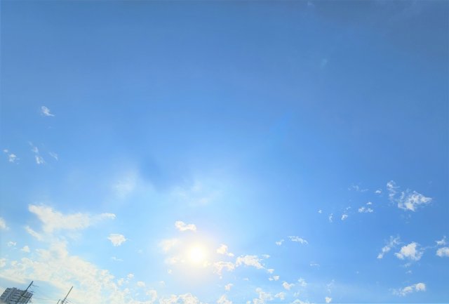 13/21 その他画像