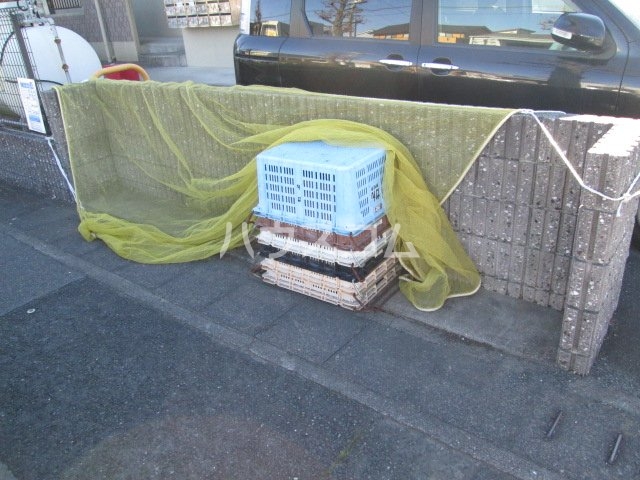 20/30 その他画像