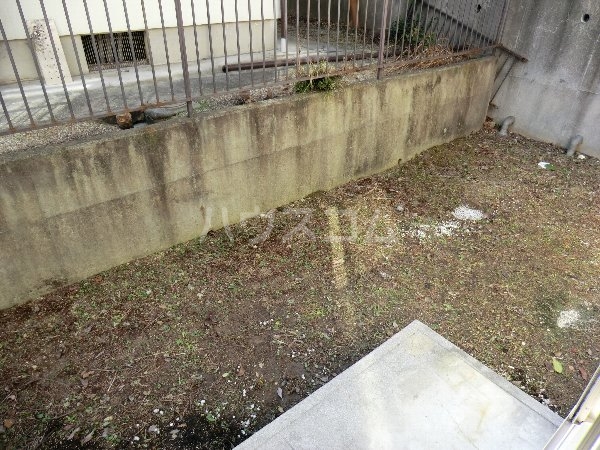 21/24 その他画像