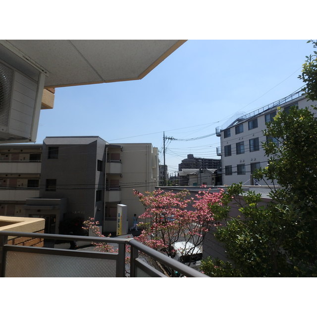 15/30 その他画像