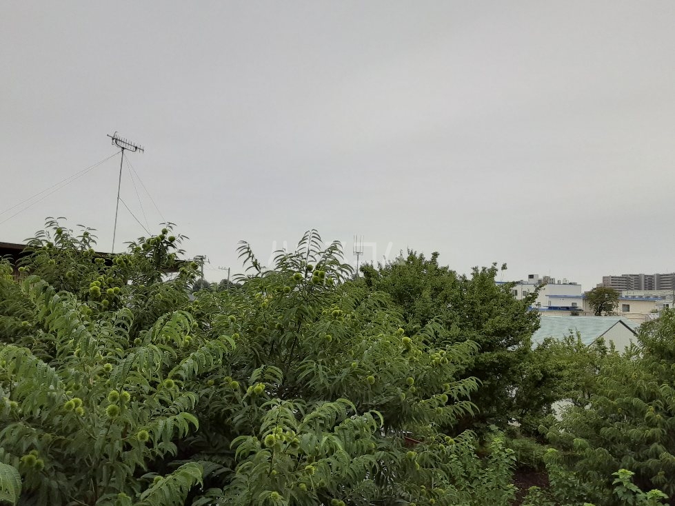 26/30 その他画像