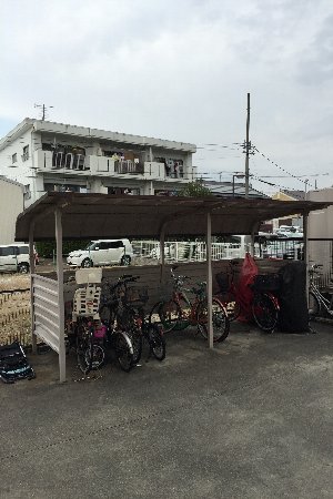 20/30 その他画像