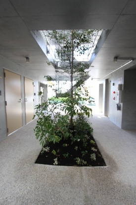 17/19 その他画像