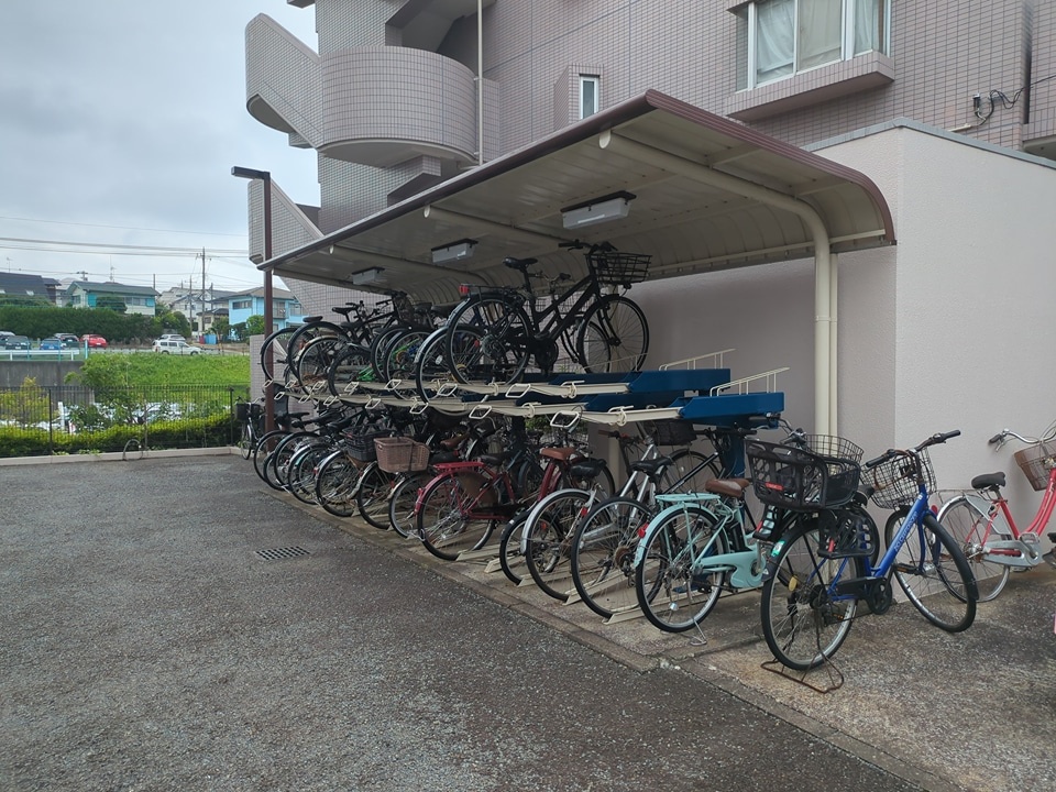 25/30 その他画像