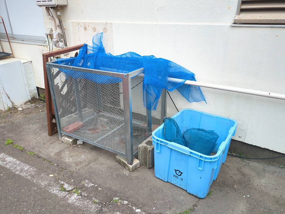 17/26 その他画像