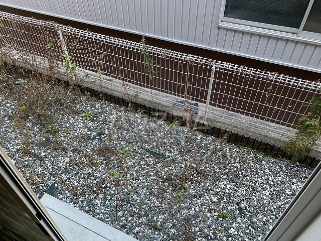 17/28 その他画像