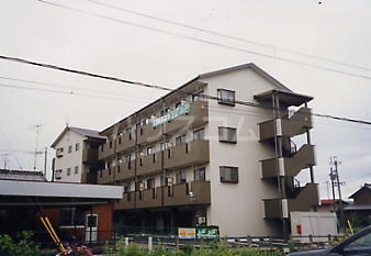 1/2 外観