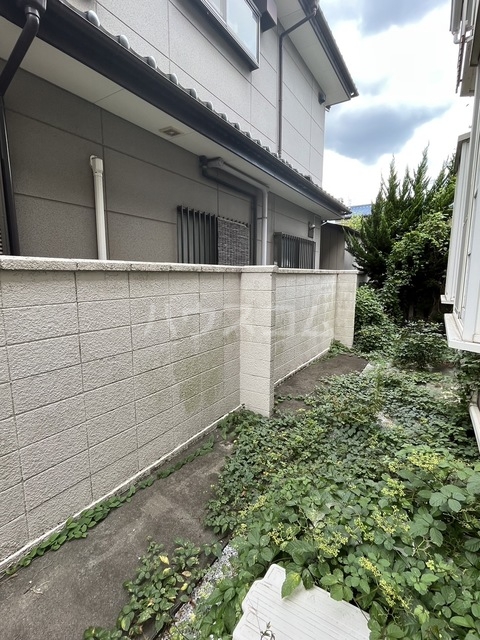 19/28 その他画像