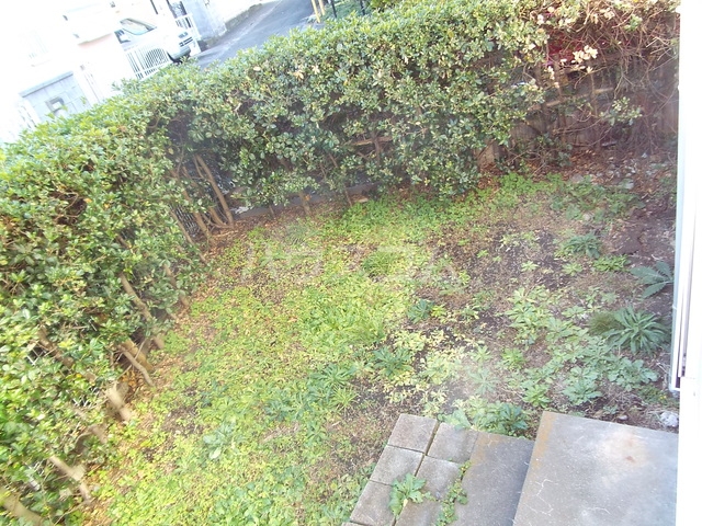 14/19 その他画像