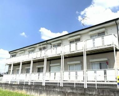 Ｓｕｒｐｌｕｓ　Ｏｎｅ　苗座の外観