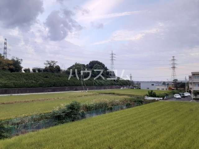 17/30 その他画像