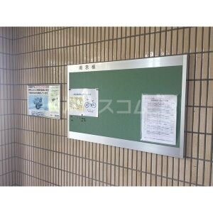 14/23 その他画像