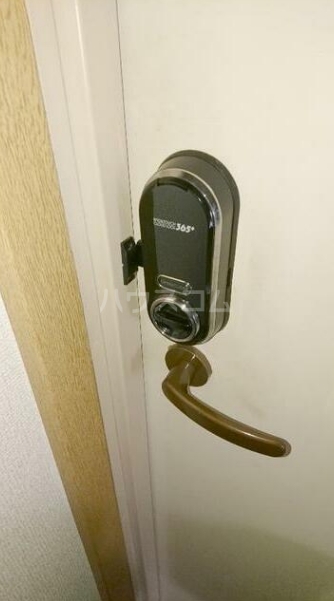 15/17 その他画像