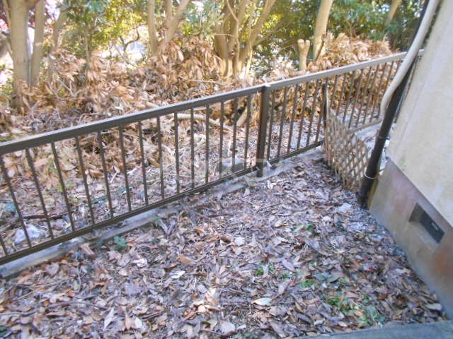 19/26 その他画像