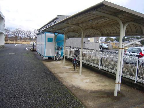 13/19 その他画像