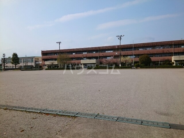 7/14 周辺