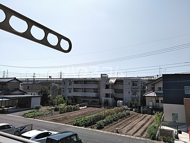 20/30 その他画像