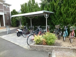 13/19 その他画像