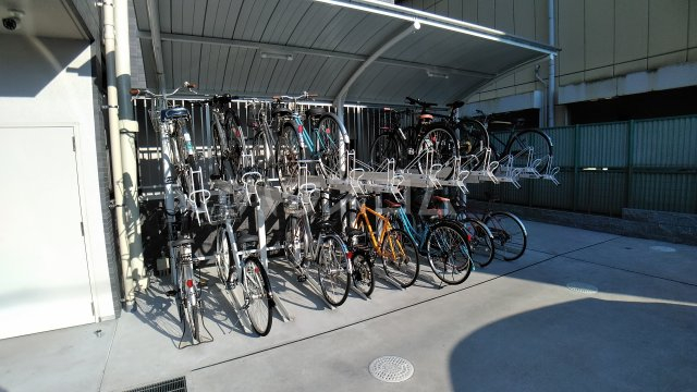 20/30 その他画像