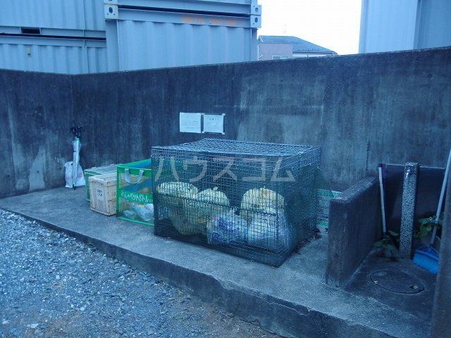 20/30 その他画像