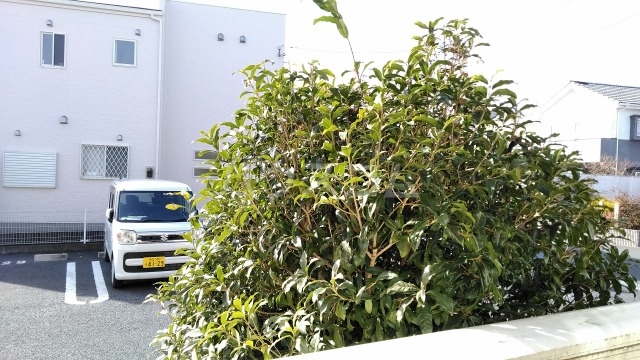 23/26 その他画像