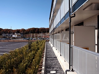 13/19 その他画像