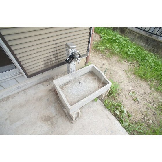 11/19 その他画像