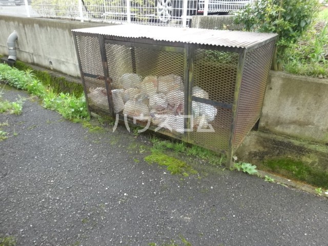 20/30 その他画像