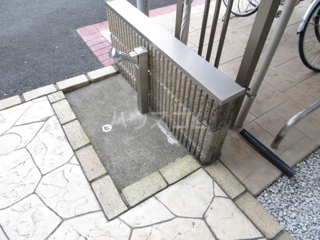 6/17 その他画像