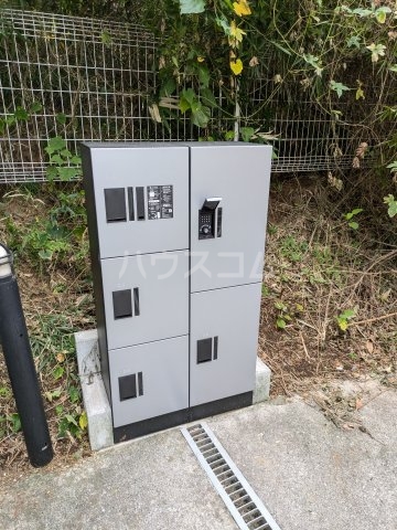 15/23 その他画像