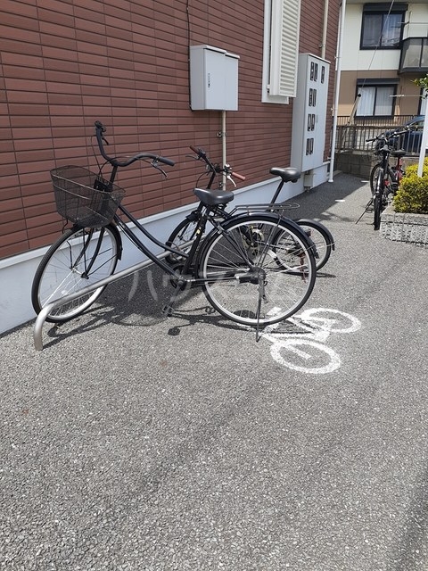 その他画像