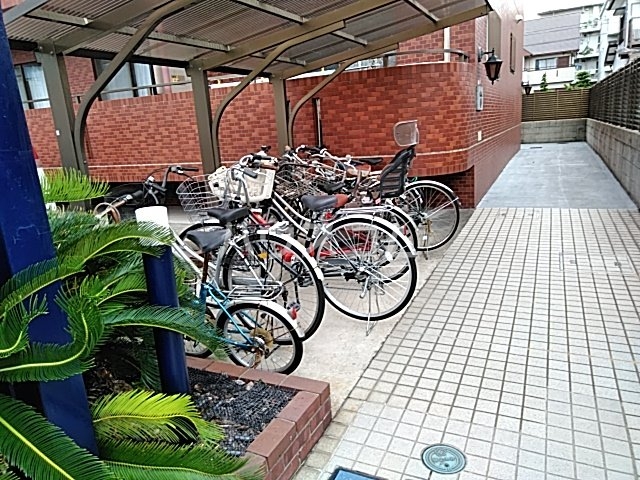 13/17 その他画像