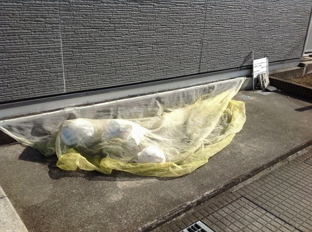 14/17 その他画像