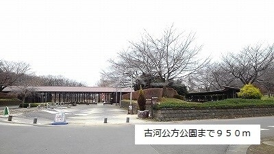 16/29 その他画像