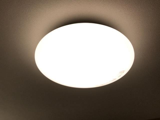 19/26 その他画像