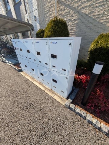 17/29 その他画像