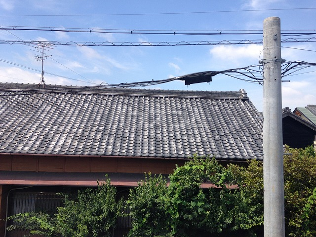 11/21 その他画像