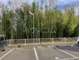 11/13 その他画像