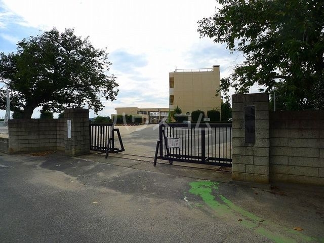 17/28 その他画像