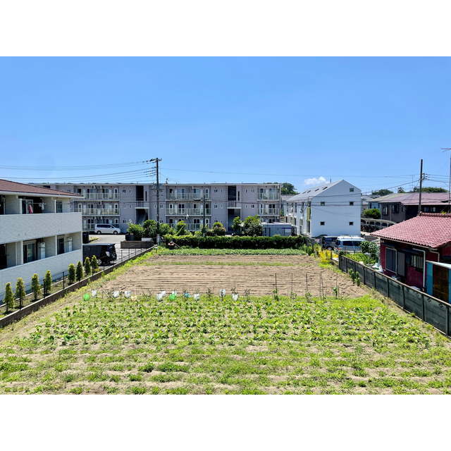 26/30 その他画像