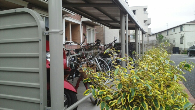 13/29 その他画像