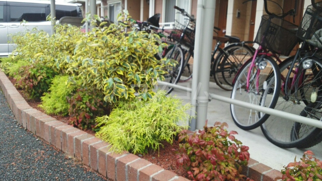 12/29 その他画像