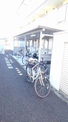 その他画像