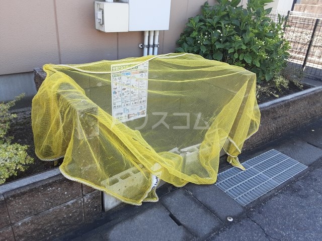 19/25 その他画像